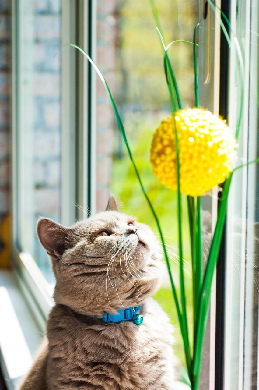 photo 2024 09 12 23 06 26