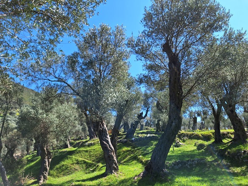 photo 2024 10 27 22 16 05