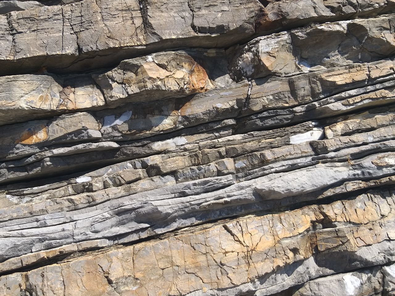 494173484 9768561363205337 9010431722769294678 n