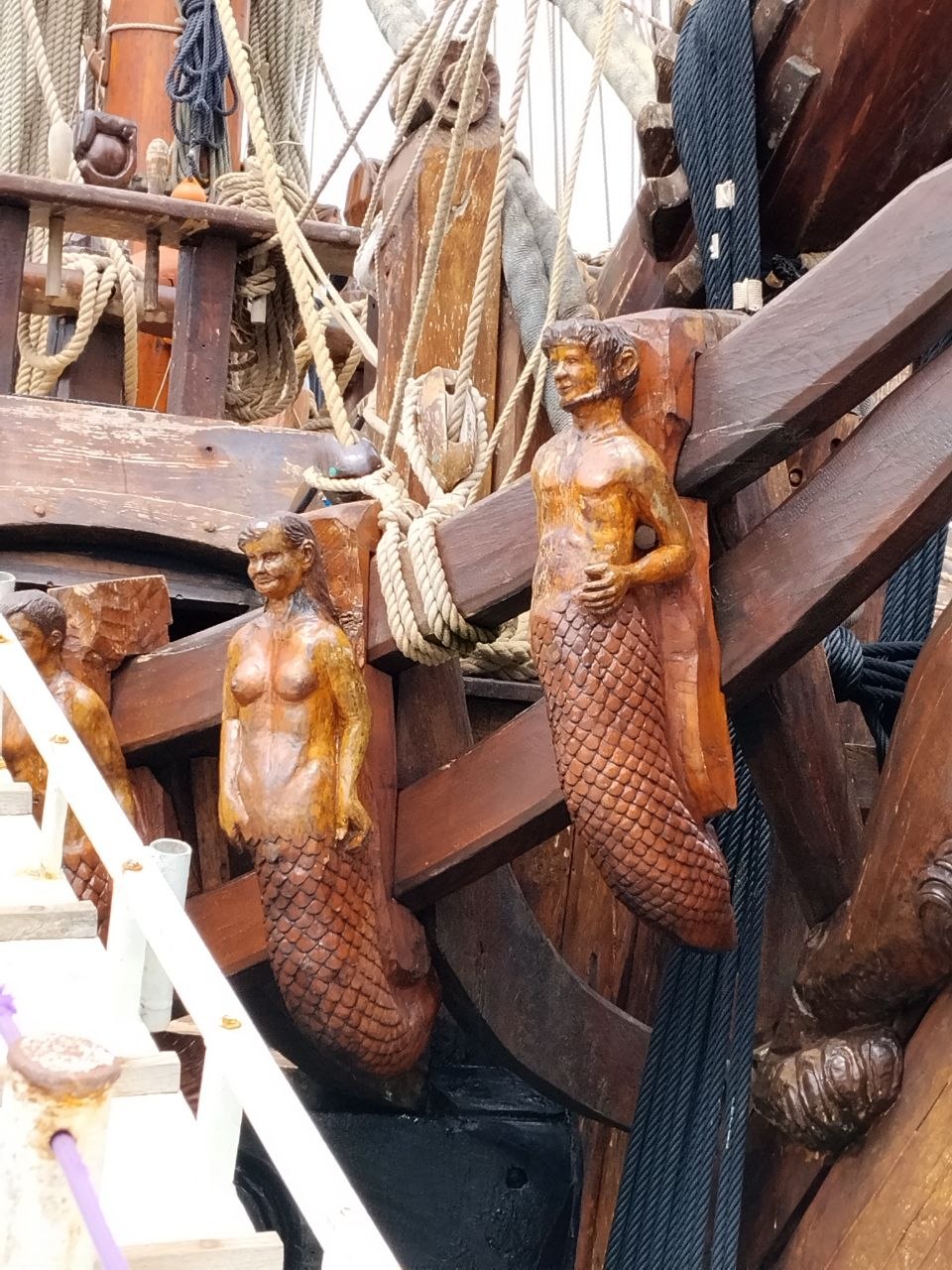 photo 2026 05 10 13 05 27